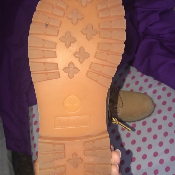 WHEAT TIMBERLANDS - Picture 3 of 4